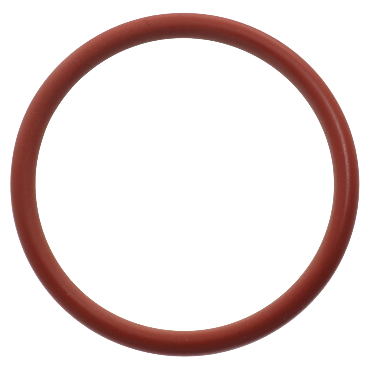 Reber guarnizione anello asse perno passapomodoro n.5 9004 9501 9601 9602 9603