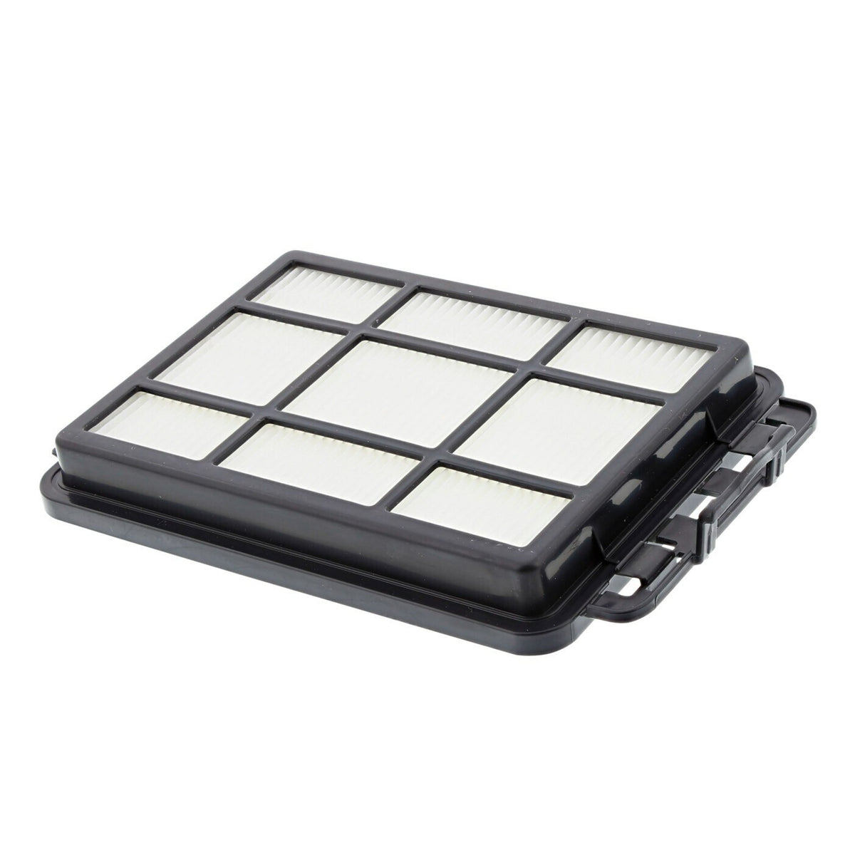 Electrolux AEG Volta filtro HEPA aspirapolvere EasyGo X VX4 EEG4 TOEG4 UEG4 ZAN4